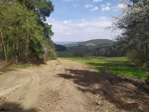 Foto 91